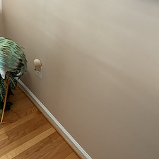 Project-Spotlight-Dishwasher-Garbage-Disposal-Electrical-Repair 2