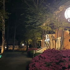 Project-Spotlight-Landscape-Lighting-Upgrade-in-Salisbury-MD 3